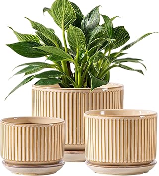 Ceramic Plant Pots Set of 3