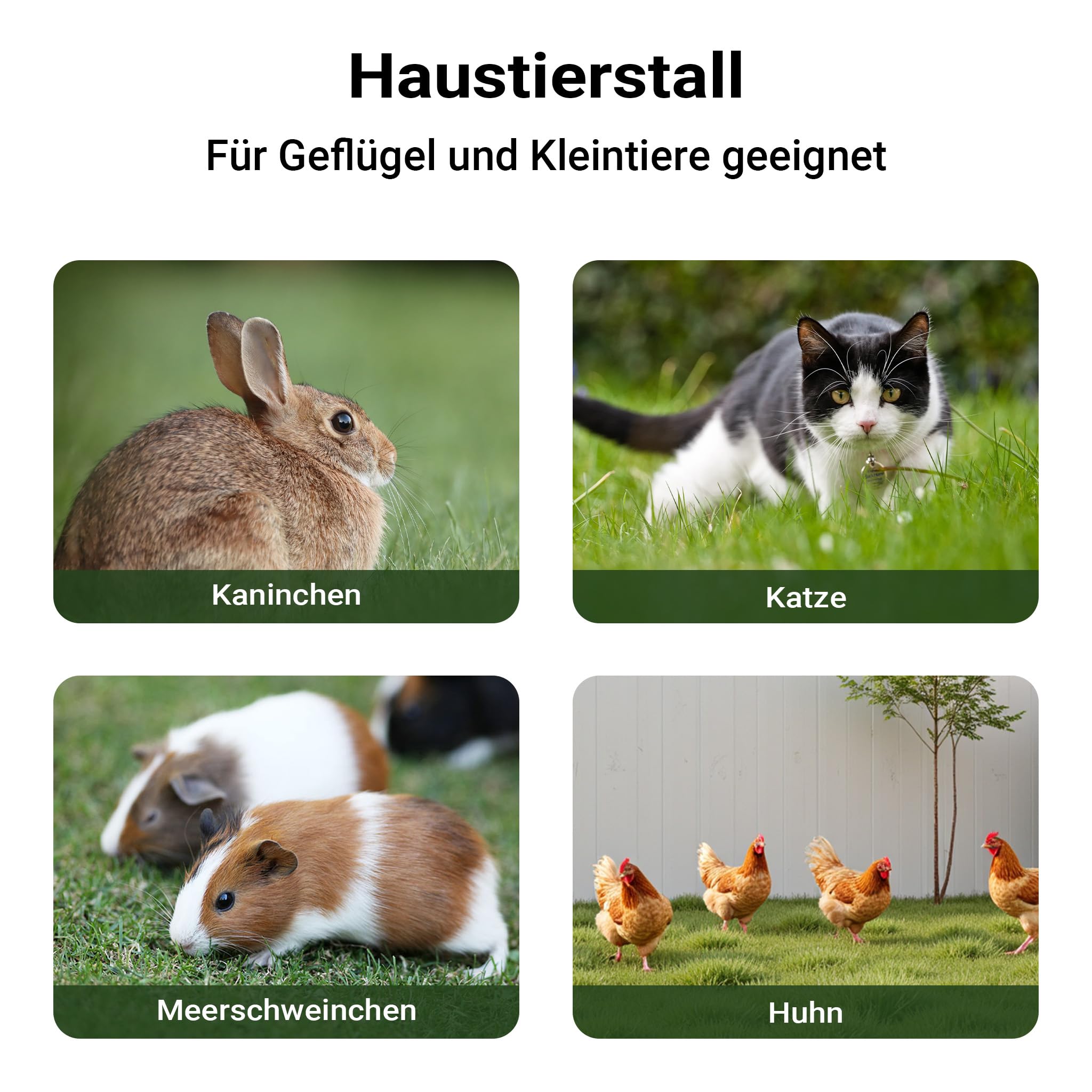 Wiltec Nagerhaus 1950 x 635 x 1200 mm, Hasenstall aus Fichtenholz, mit Bitumeneindeckung, Hühnerstall mit Nistkasten, Kleintierhaus Freilauf Gehege