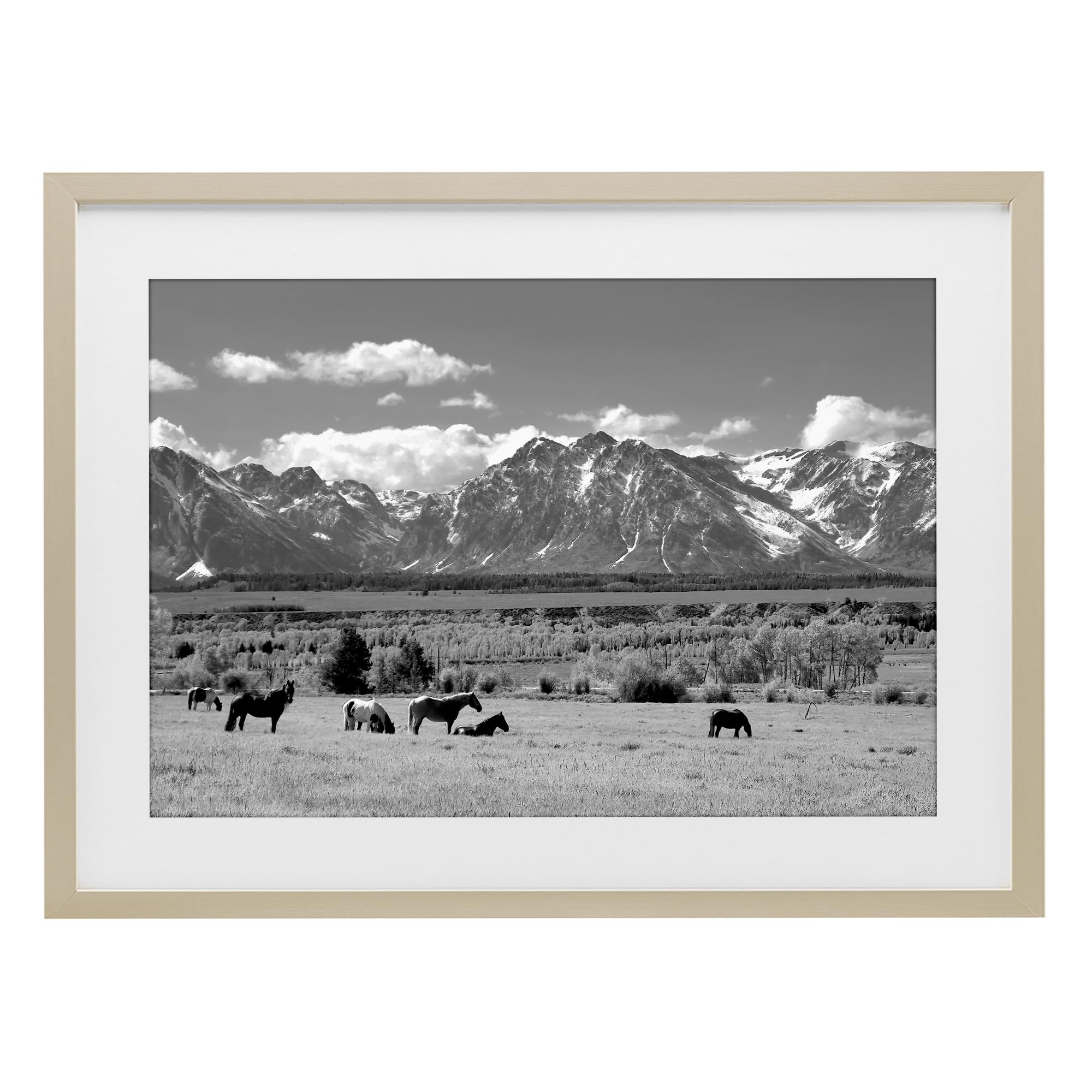 Wyoming Ranch Horses Grazing, 14 x 20 Inch Framed Print Under Glass