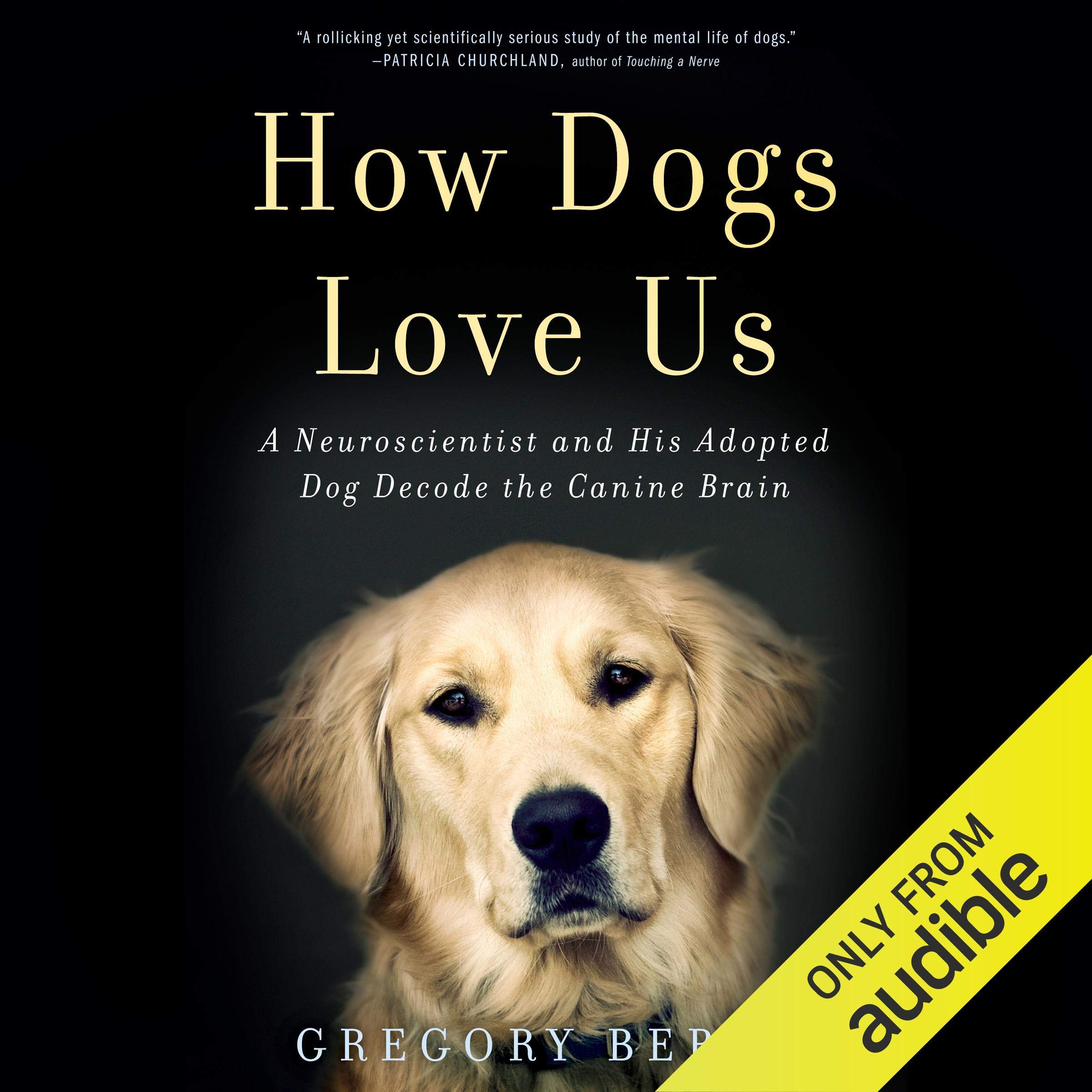 Cover art for How Dogs Love Us
