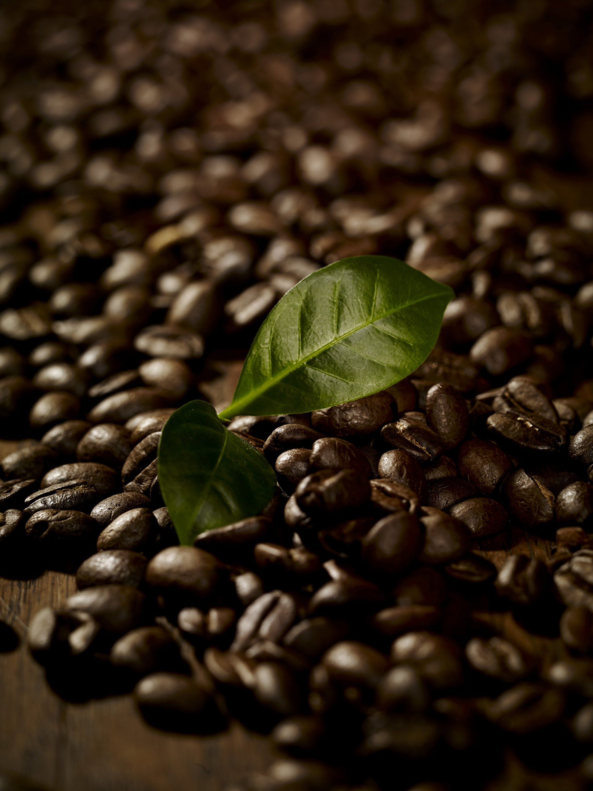 Melitta Krem Café, całe ziarna kawy, 100% Arabica, pełny i harmonijny, średni stopień prażenia, 1 kg