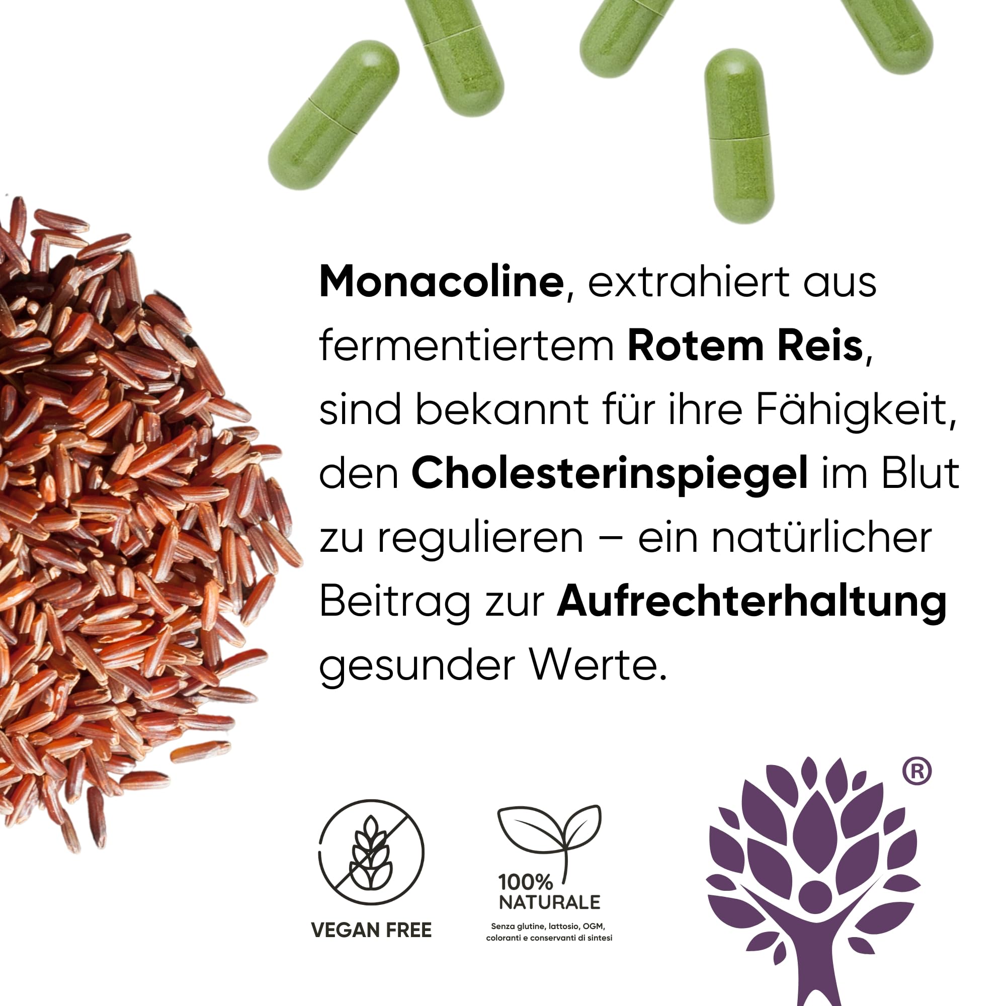 Cholesterin Senken Kapseln Komplex 5in1 - Roter Reis, Coenzym q10, Bockshornklee, Monacolin K & Bio Moringa - Für Gesunden Cholesterin & Triglyceride Spiegel - 60 Kapseln