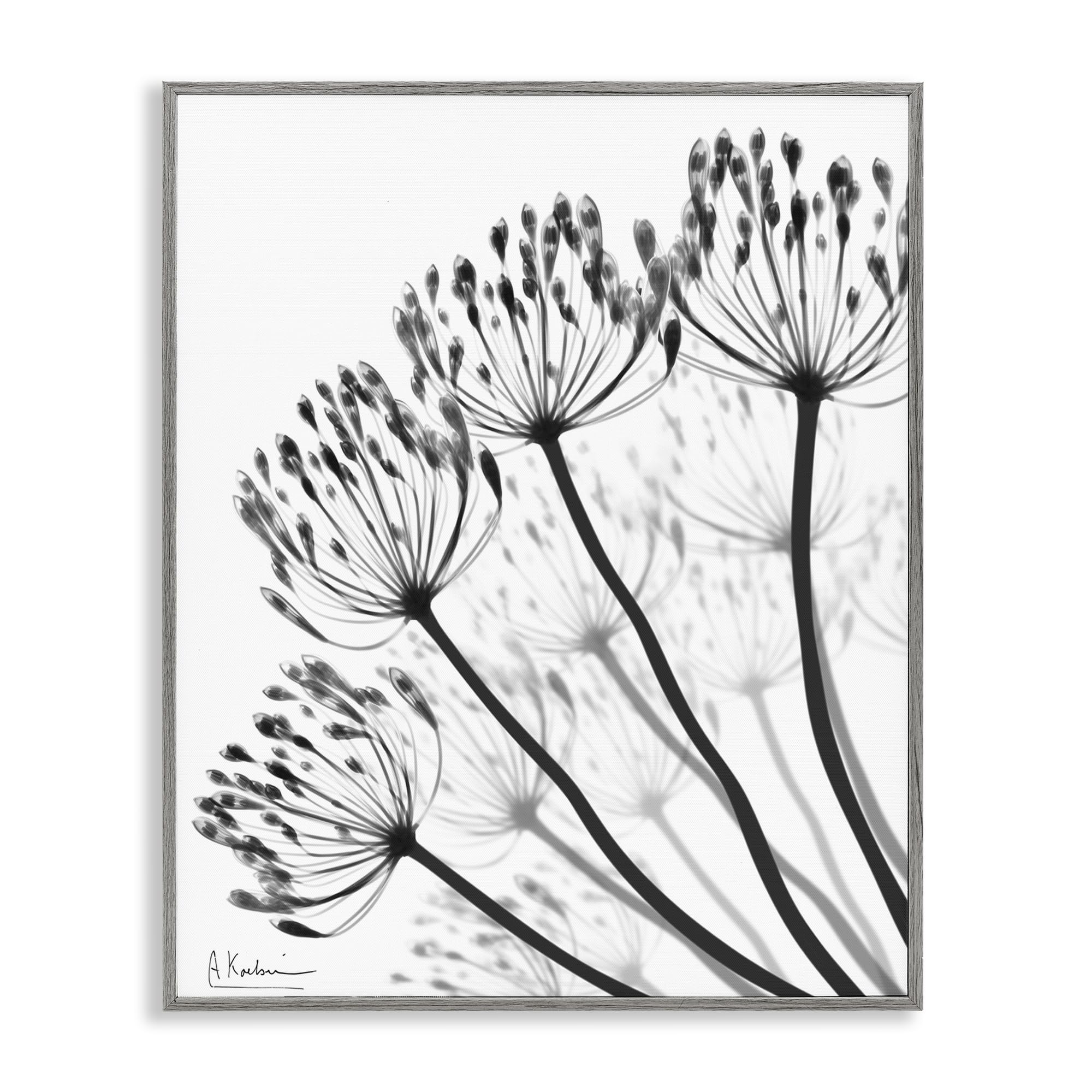 Stupell Industries Farmhouse Gray (Textured) 'Floral Fan Dandelions'| Framed Giclee Art