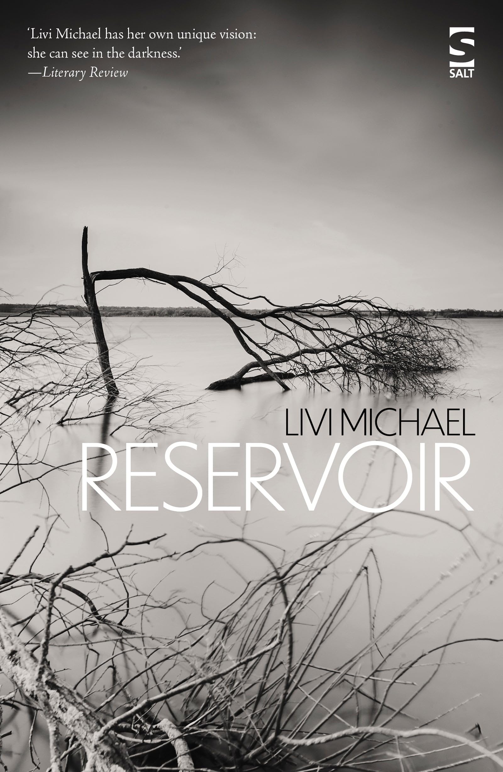 Reservoir (Salt Modern Fiction): Memory, trauma, and childhood violence, haunt this novel of unspoken pasts