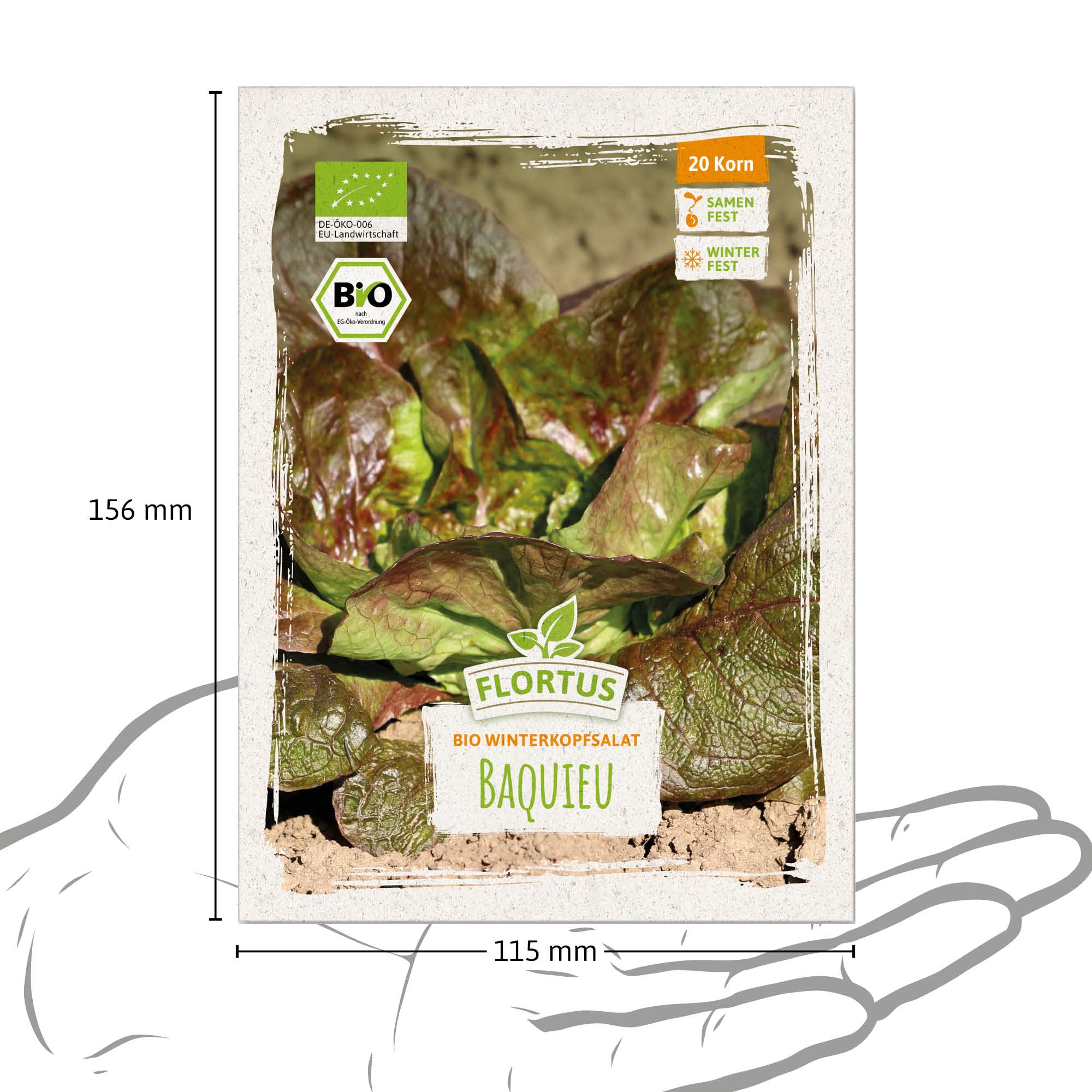 FLORTUS  BIO Winterkopfsalat Samen Baquieu  Kopfsalat Samen zur Anzucht  fr Garten, Balkon, Kche & Fensterbank  Wintersalat mit hchster  Bioqualitt & ohne Gentechnik (20 Korn) : Amazon.de: Garten