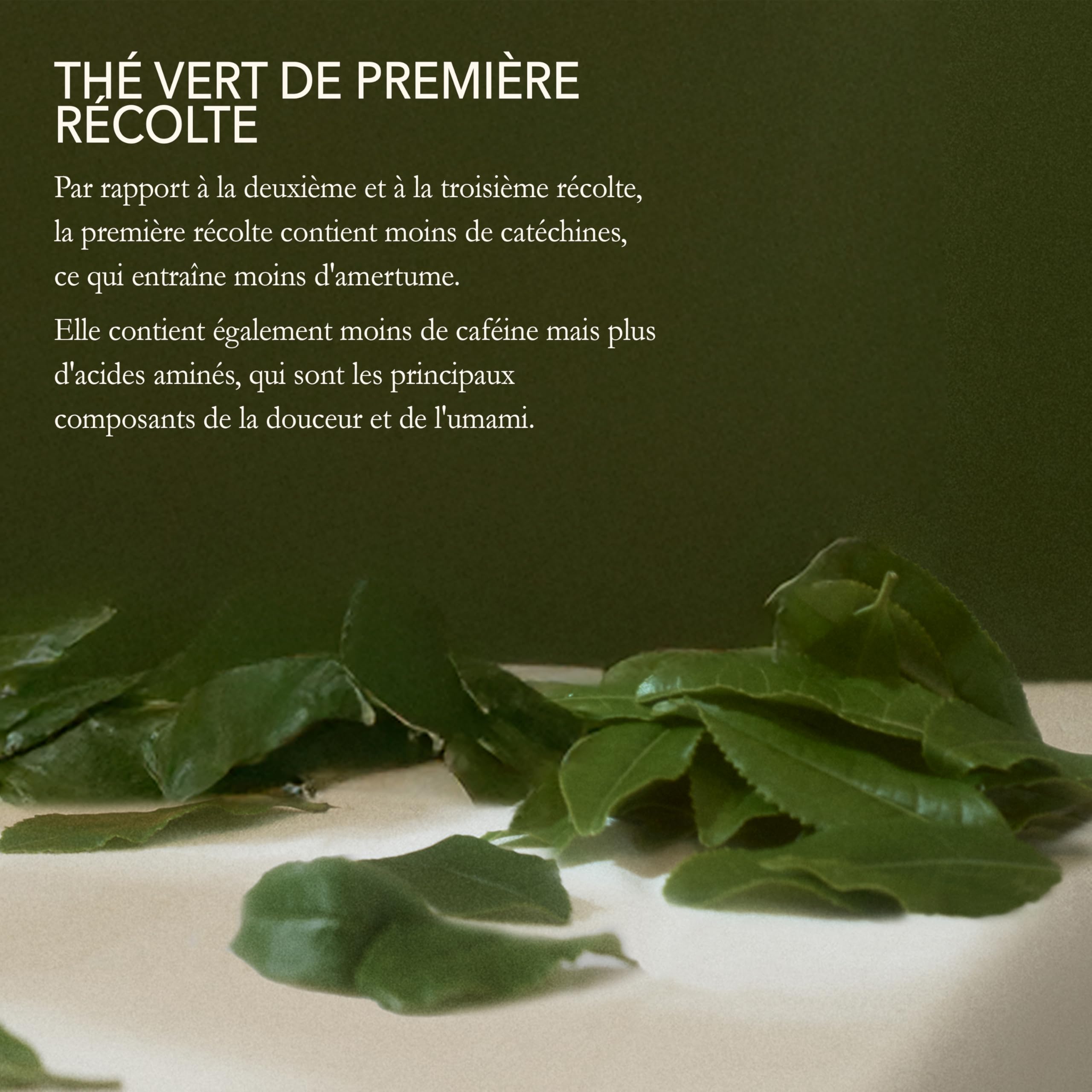 Issaku - Thé vert japonais en vrac - Thé vert végétalien et entièrement naturel - Thé Sencha Fukamushi riche en antioxydants - 3,5 oz