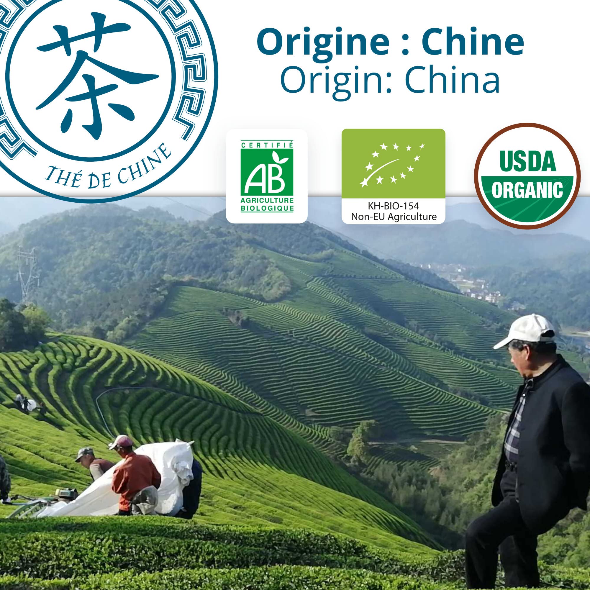 Khla - Thé bleu Oolong Bio - Boîte de 80 sachets de thé pyramidale - Thé biologique