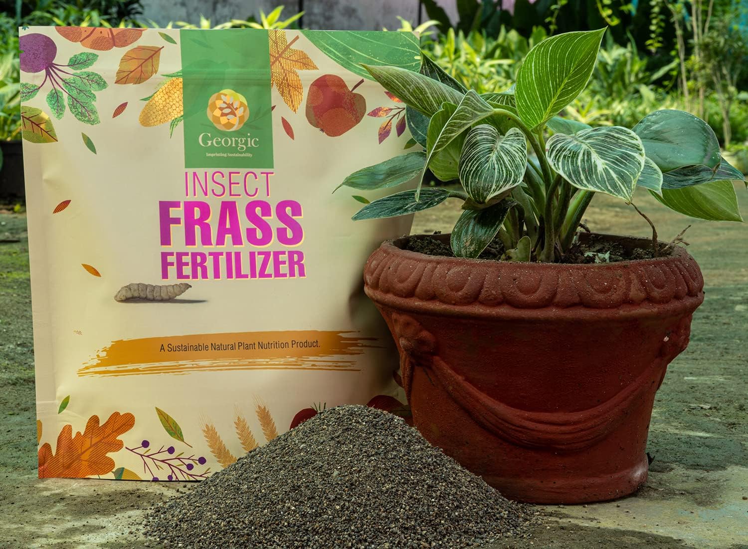Organic Insect Frass Fertilizer – All Purpose Plant Food & Soil Amendment, Enhances Soil Health, Root Development & Plant Growth – Ideal for Houseplants, Flowers, Vegetables & Lawns (3 lb)