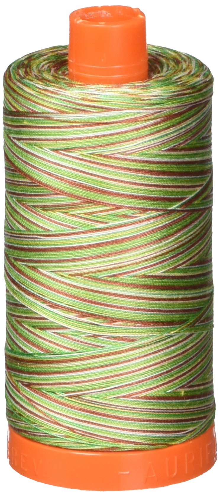 Aurifil Assorted Mako Cotton Embroidery Thread 50Wt 1422Yds Variegated