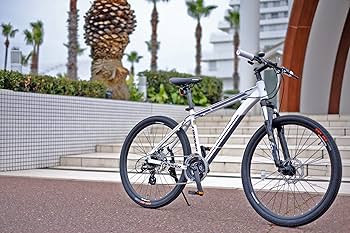 CANOVER ATLAS 電動バイク改造部品（第1種原付登録用） CANOVER ATLAS 電動バイク改造部品（第1種原付登録用） | E-BIKE