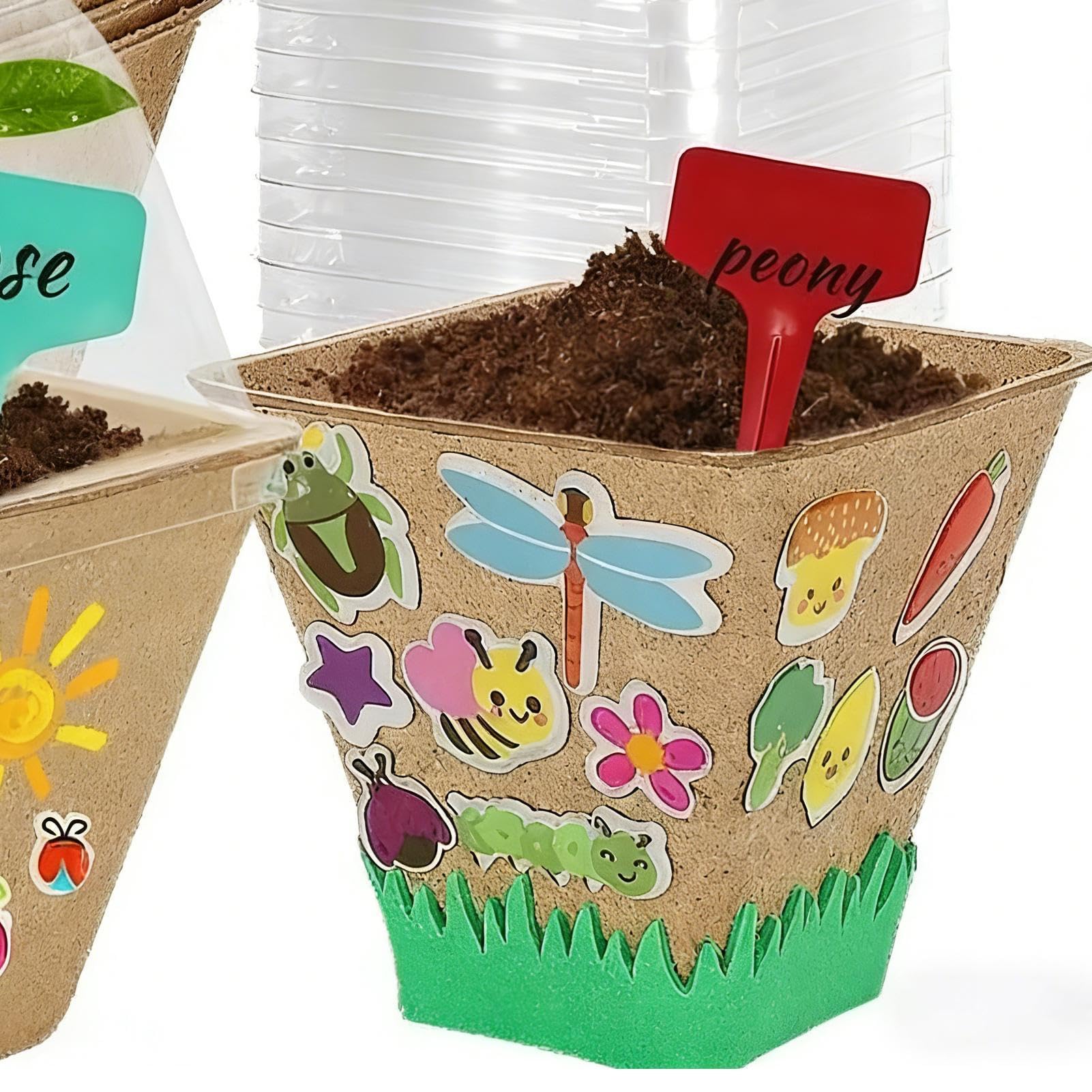 Kit De Plantación Para Niños Juego De Jardinería STEM