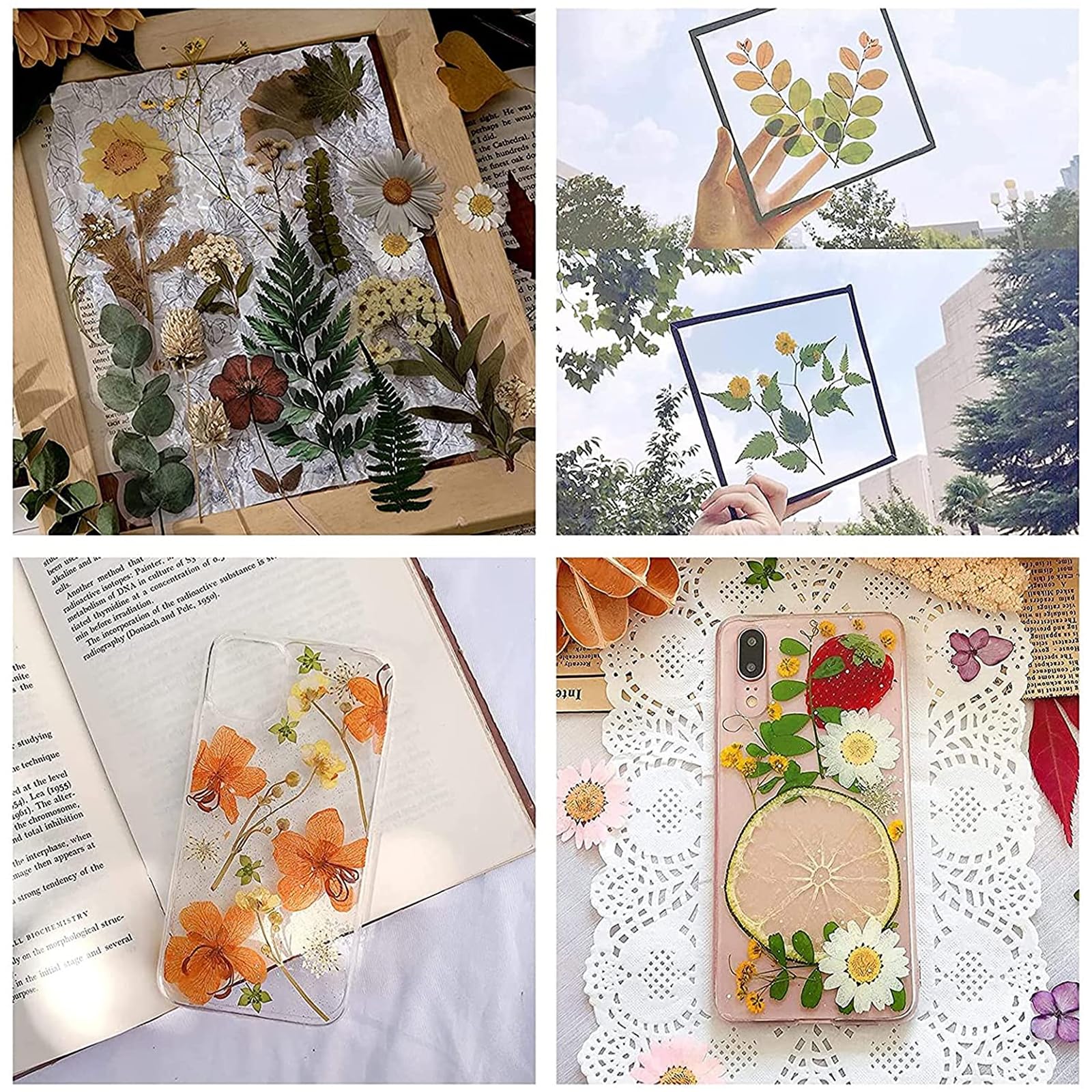 WANDIC Kit de prensa de flores, libro avanzado de prensa de plantas, kit de arte de madera grande para manualidades, especímenes, aprendizaje al aire libre, orquídea