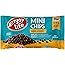 Enjoy Life Semi Sweet Chocolate Mini Chips, 10 oz