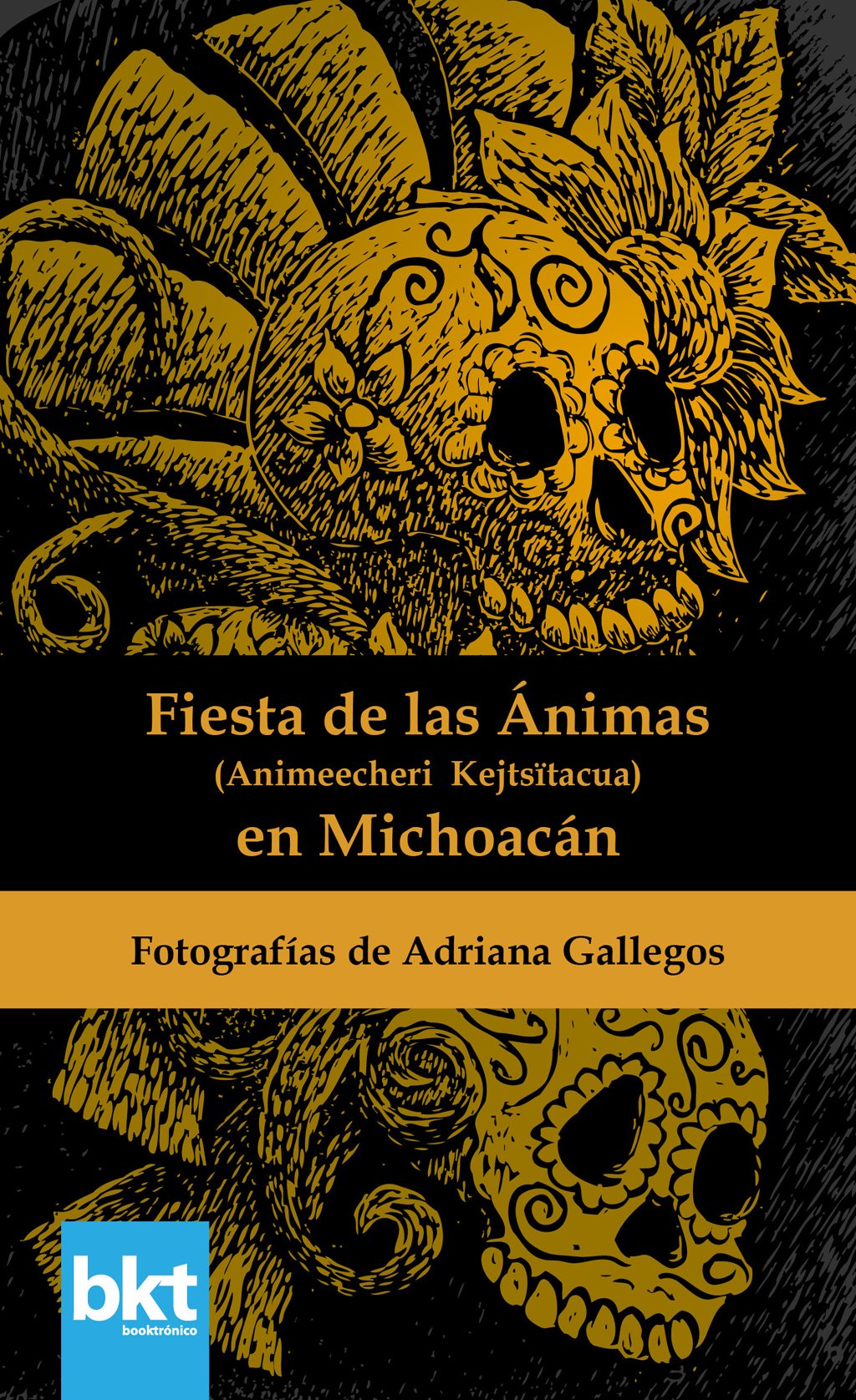 Fiesta de las Ánimas livre en espagnol pour enrichir votre bibliothèque culturelle du Mexique