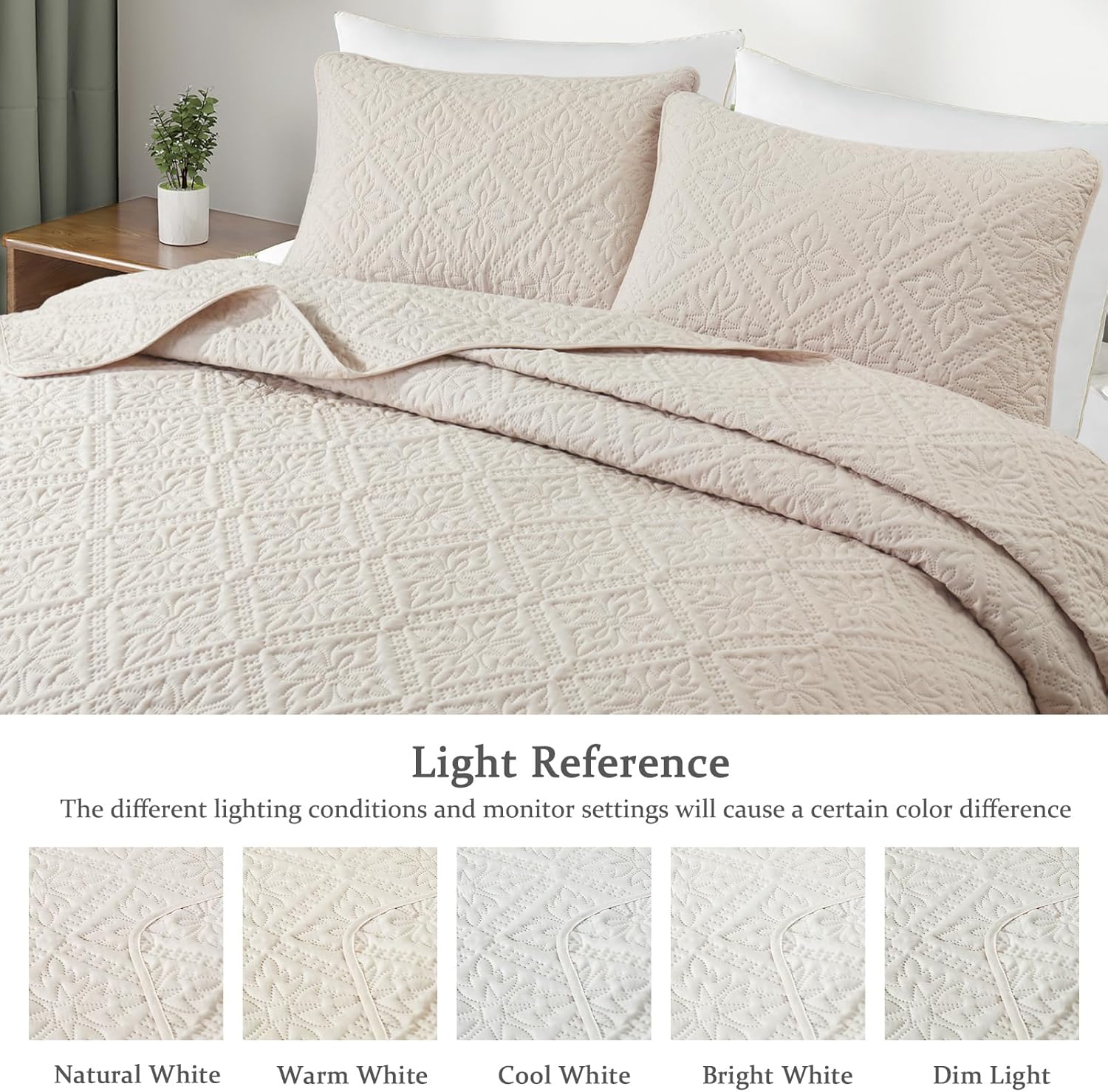 Exclusivo Mezcla Queen Quilt Bedding Set, Lightweight Soft Bedspreads Coverlets with 2 Pillow Shams, Modern Brich Beige Quilts Queen Full Size for All Seasons - Image 3