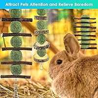 Vista 5 de ERKOON Juguetes masticables de conejo, juguetes masticables de conejo para rechinar los dientes, mejorar la salud dental, 100% madera de manzana