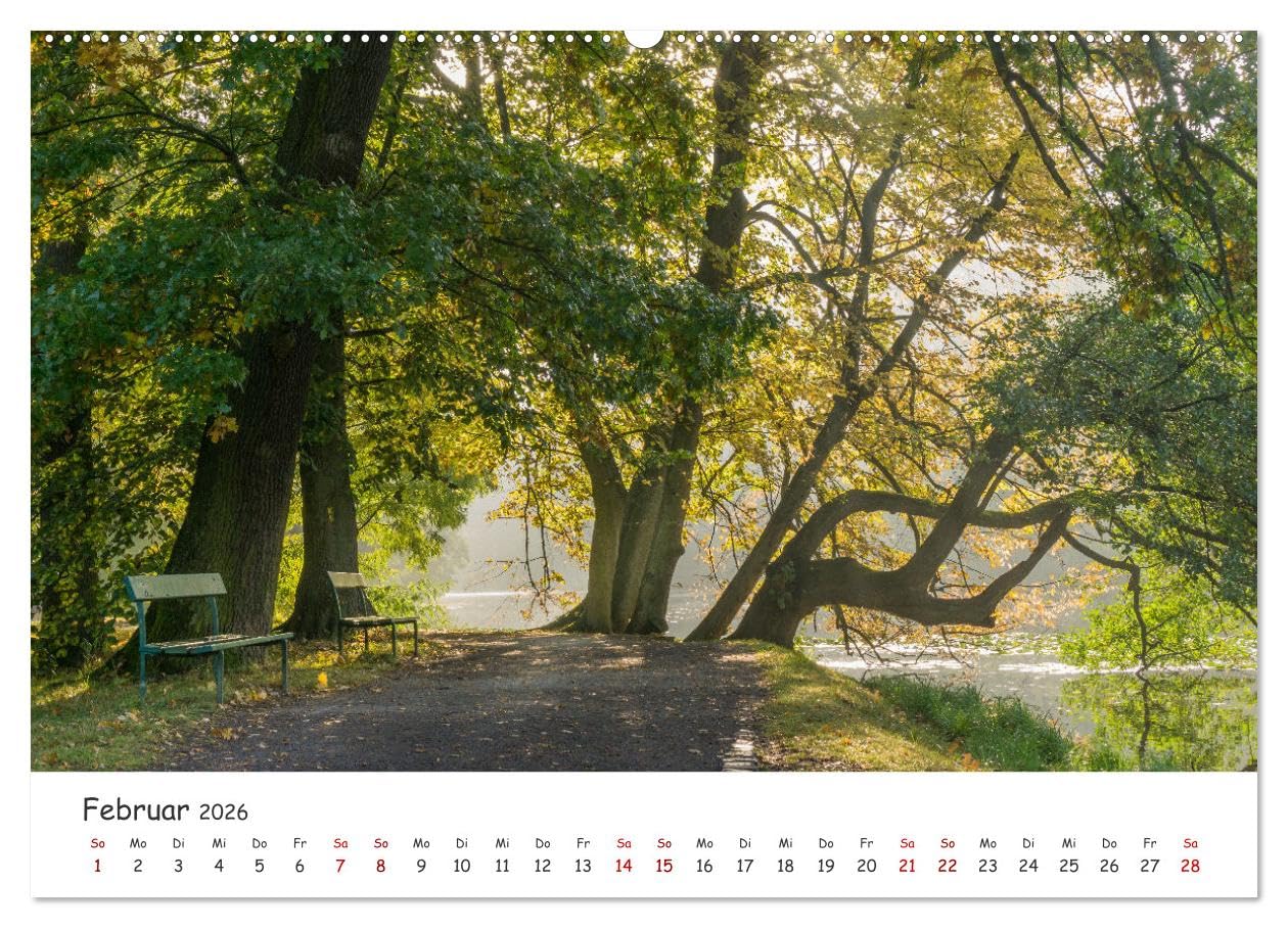 Kassel - Natur pur (hochwertiger Premium Wandkalender 2026 DIN A2 quer), Kunstdruck in Hochglanz: Wunderschöne Naturaufnahmen der nordhessischen Stadt Kassel. (CALVENDO Orte)