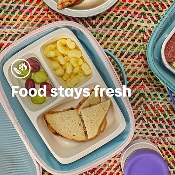 Hydro Flask Lunch Box for Kids - Unisex for Girls or Boys - Insulated Lunch Bag for School in Mermaid Green