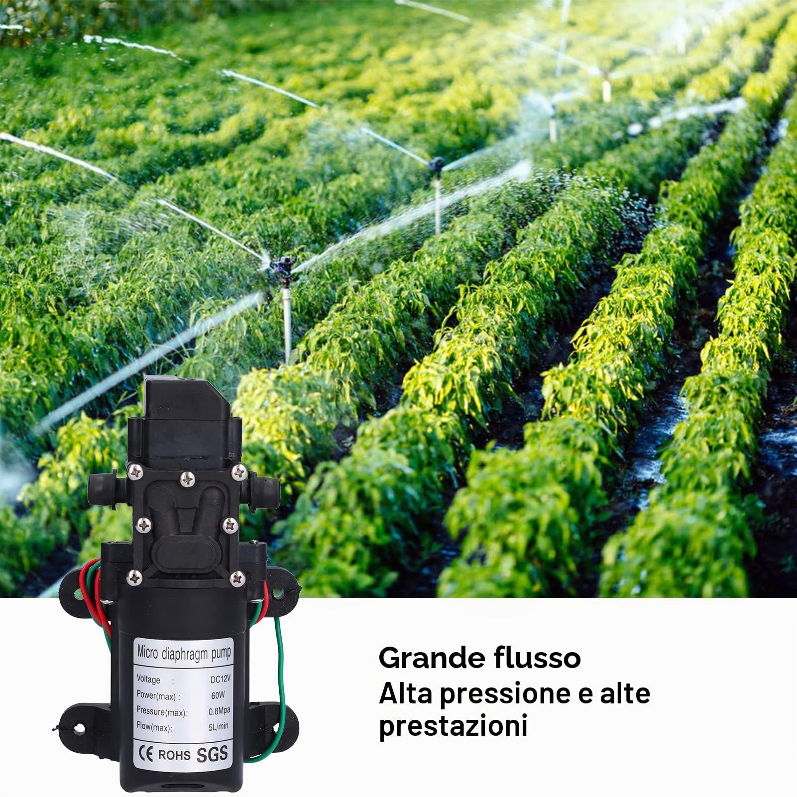 Pompa a Membrana 12V, 60W 5L/min 0.8Mpa Pompa Irroratrice Autoadescante a Flusso Grande con Arresto e Avvio Automatici, Pompa Booster per Irrigazione Giardino, Piscine