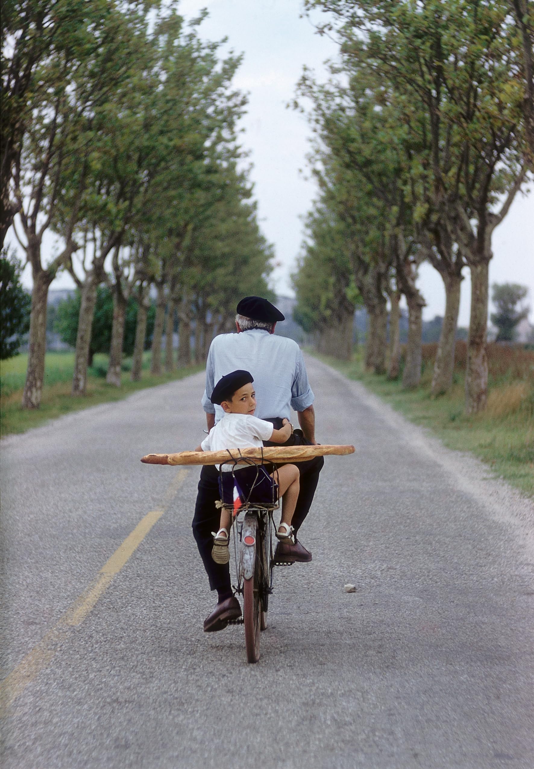 Elliott Erwitt's Kolor: New Edition