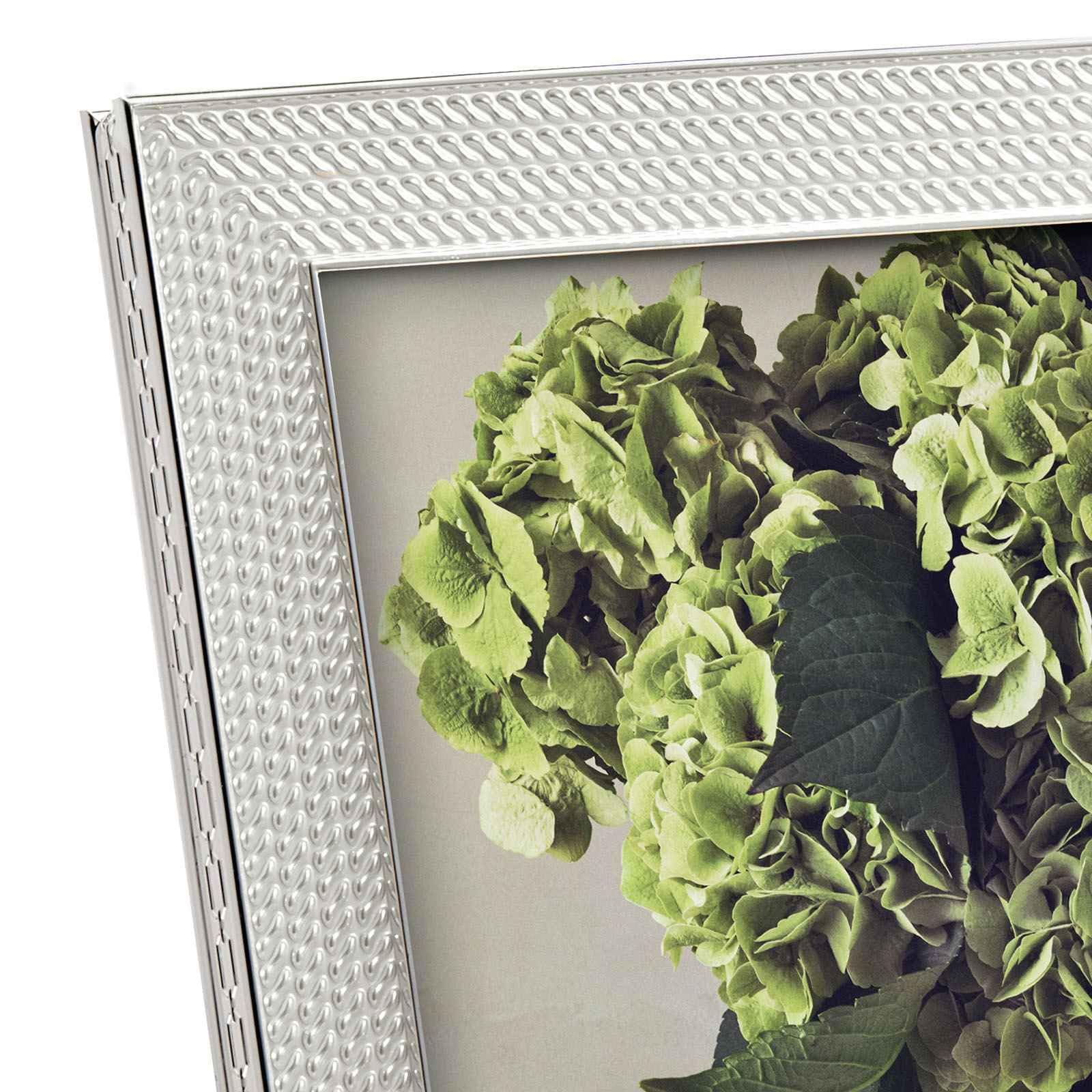 Amazon.co.jp: ウェッジウッド: ヴェラ・ウォン