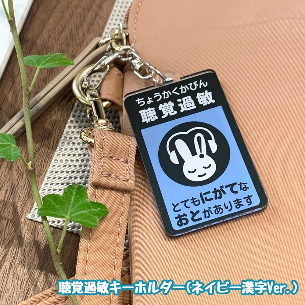 過眠症キーホルダー Amazon.co.jp: 聴覚過敏保護用キーホルダー ネイビー漢字 防音
