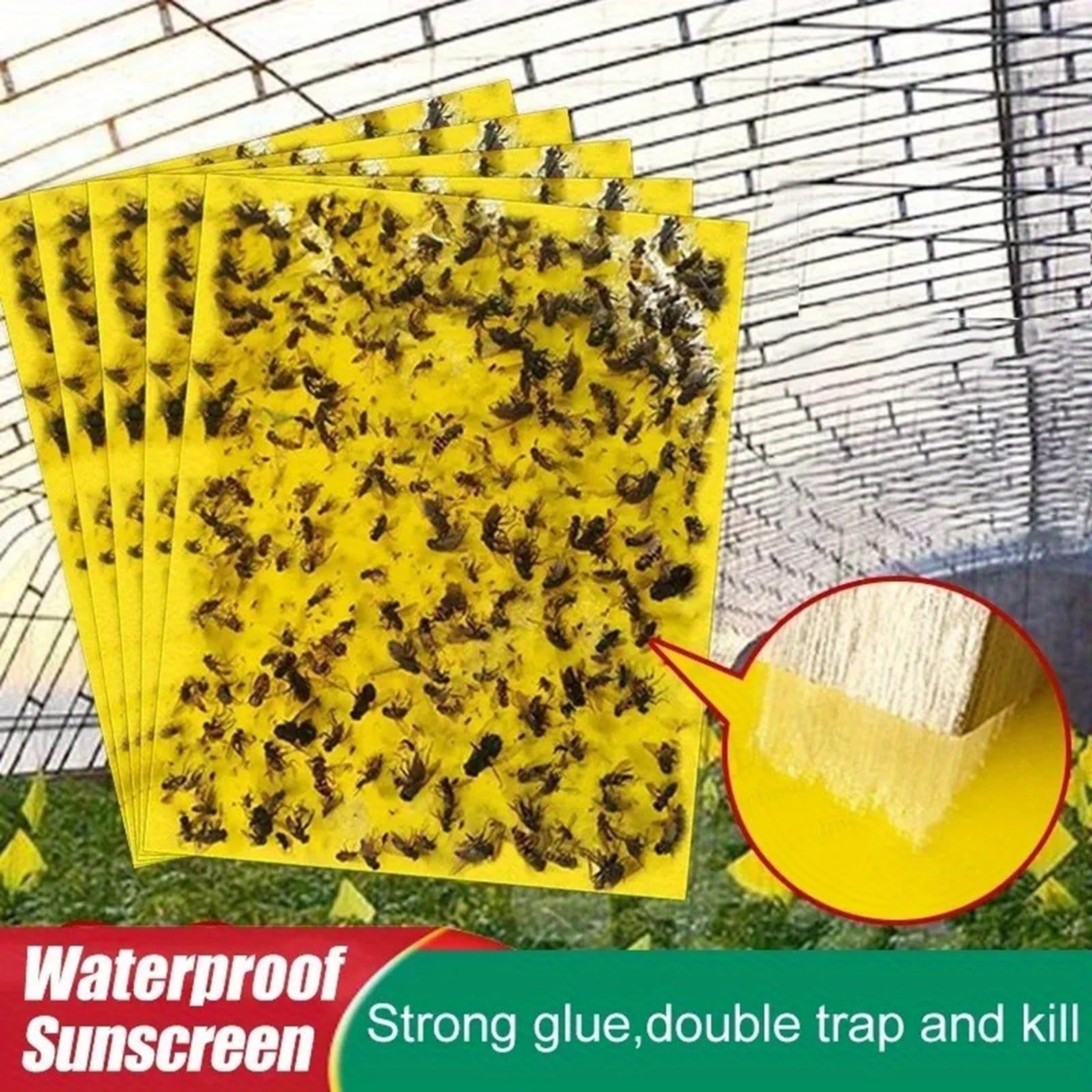 60 Pezzi Trappole Acchiappa Ciliegio Mosche, Mosca Dell'olivo Trappole Appiccicose Gialle Bilaterali per Insetti Volanti per Olivo, Afidi, MosceriniFungini, e Mosche Bianche，Trappola Adesiva per Mosch