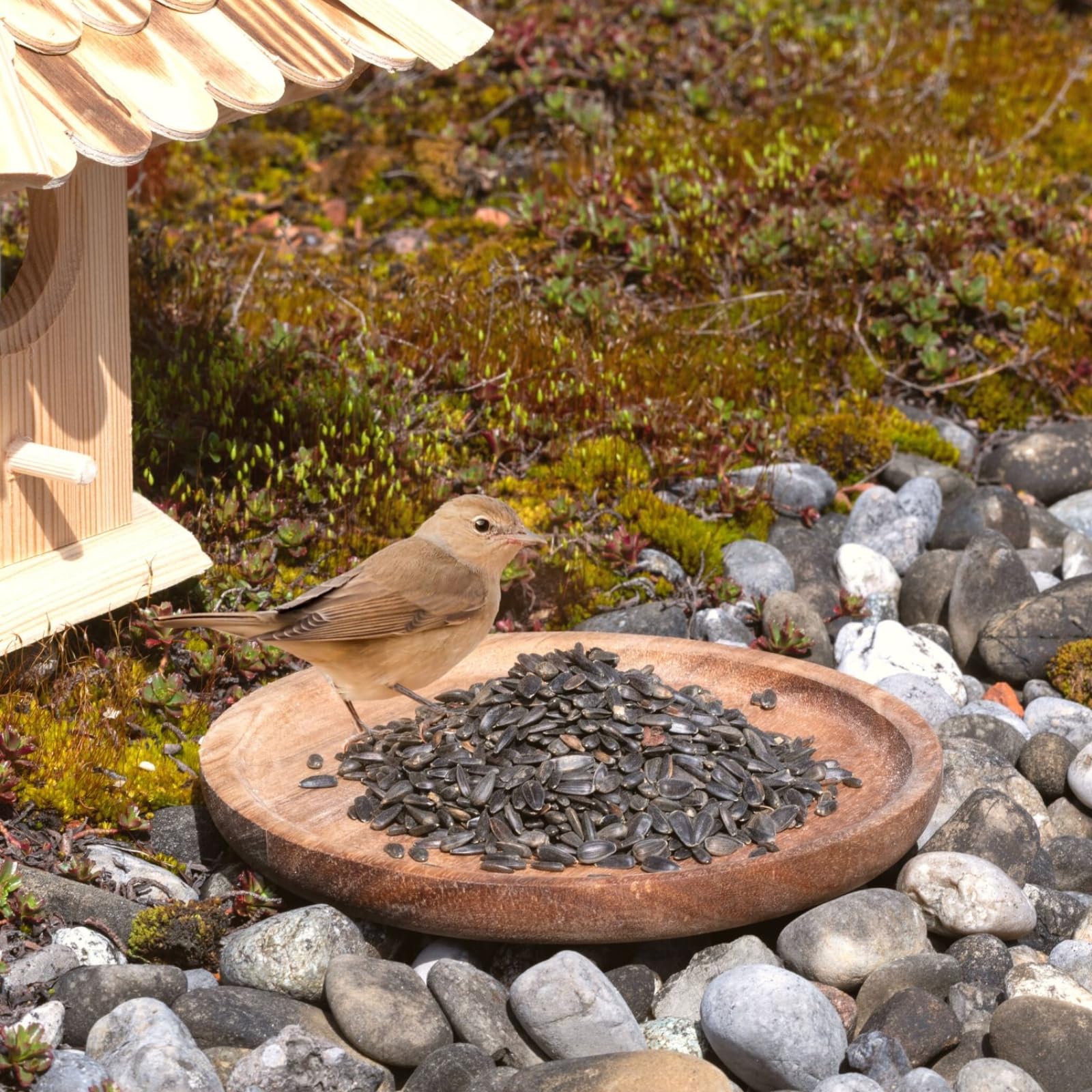 Lyra Pet® | 25 kg Sonnenblumenkerne Schwarz | Wildvogelfutter Ganzjährig | Ideal für Kleine Vögel | Vogelfutter für Gartenvögel | Mit Höchstem Ölgehalt | Spendet Energie im Sommer und Winter