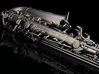 Vista 4 de Kit de cuidado para saxofón con 11 reeds, 8 para saxofón alto cojines, funda, Glory E Flat