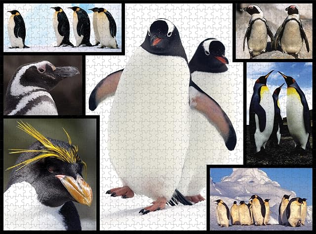 Foto 6 de 8 de WWF - Puzzle de 1000 Piezas con pingüinos (085)