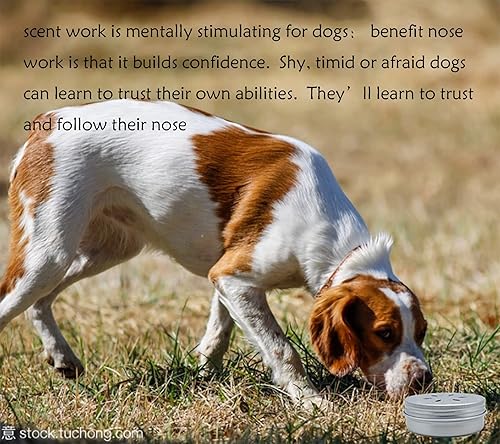 Miniatura 8 de Paquete de 12 recipientes de metal para nariz de perro con 12 latas magnéticas de trabajo con aroma de perro, caja de entrenamiento de aroma de