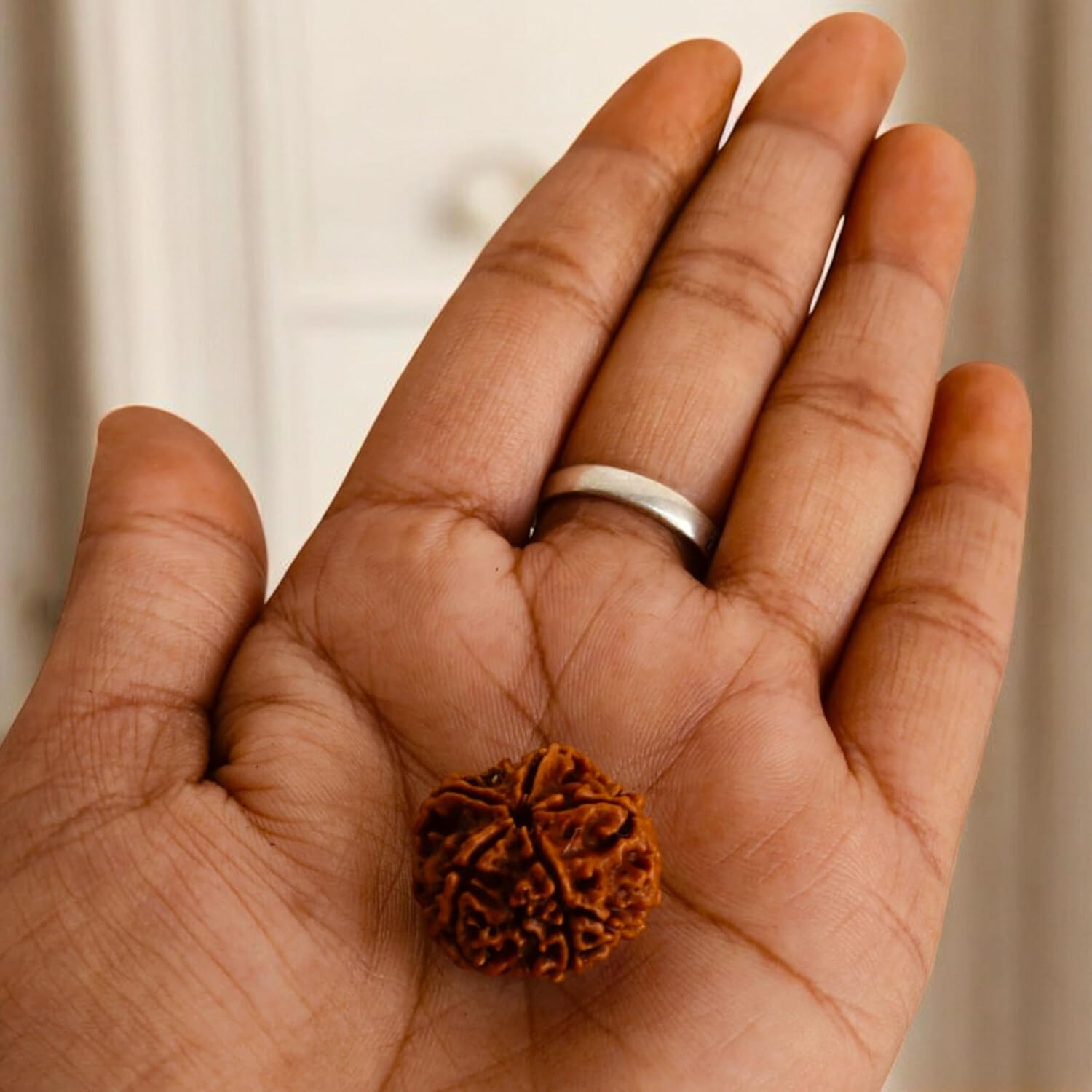 Rudraksha Beads 51 Pcs Lot | 5 Mukhi Natural Himalayan Prayer Beads | Round Loose Bodhi Bead for Meditation, Yoga, Spiritual Jewelry Making, Mala, Bracelet & DIY Craft Supplies