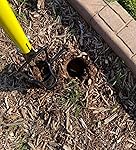 Review Image by Retiredcatmom Retiredcatmom