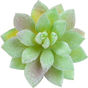 SMDSAZ Artificial Succulents Plant Fake Plants Mini Bonsai Plante Artificiel Wedding Decoration Fake Plants DIY Plante (Color : Chocolate)