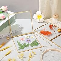 Vista 5 de Treela Marcos de vidrio con flores prensadas de 6 x 6 pulgadas, marco de fotos de doble vidrio para colgar, marcos flotantes cuadrados transparentes