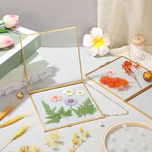 Miniatura 5 de Treela Marcos de vidrio con flores prensadas de 6 x 6 pulgadas, marco de fotos de doble vidrio para colgar, marcos flotantes cuadrados transparentes