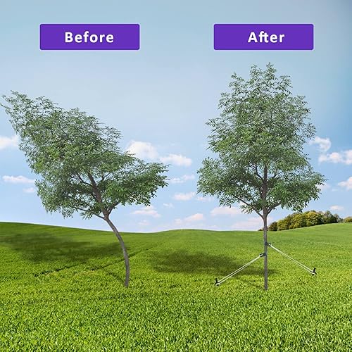 Miniatura 3 de Kit de soporte de árbol de acero resistente, kit de estaca para árboles recién plantados contra el mal tiempo, incluye 6 correas de árbol para