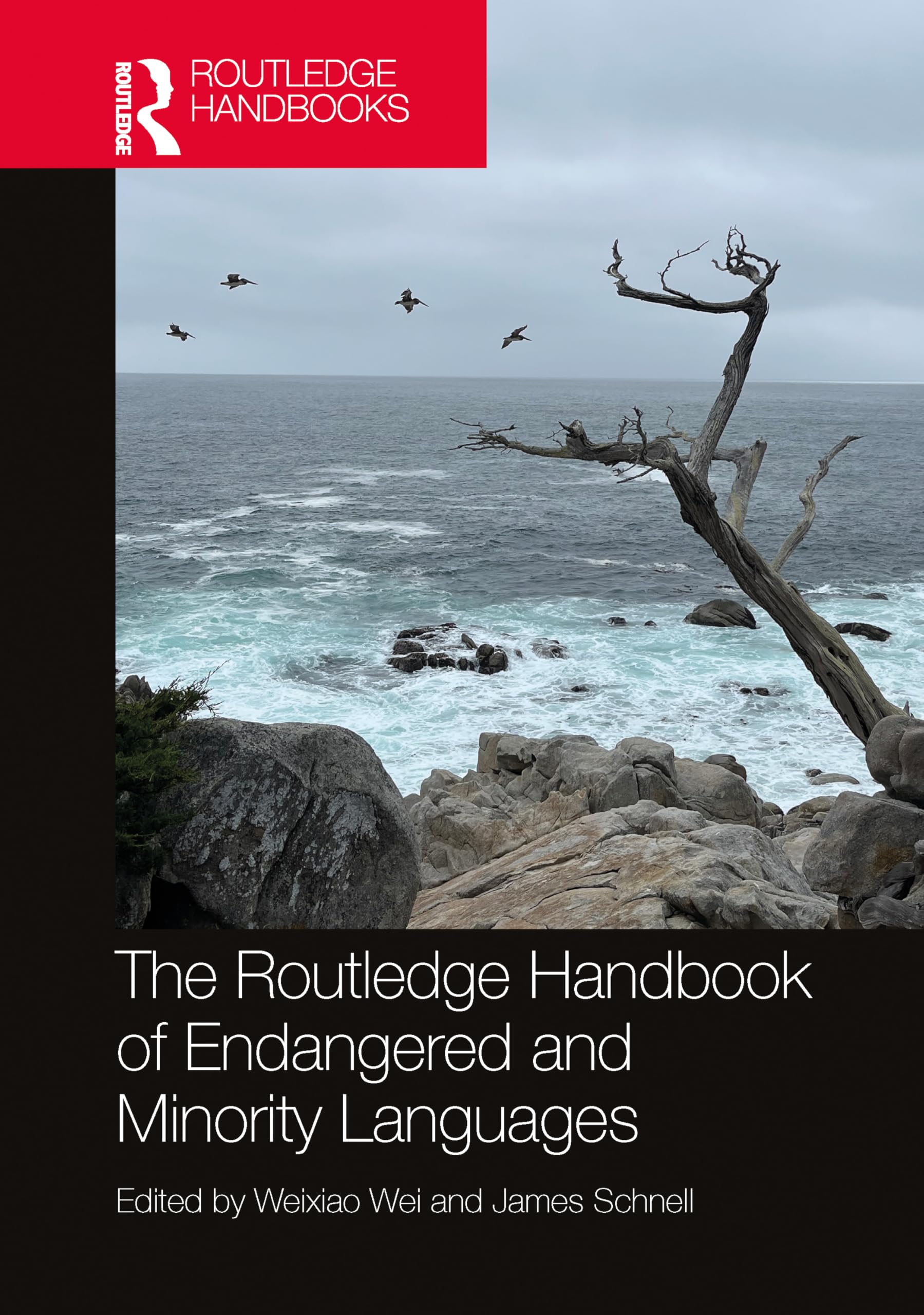 The Routledge Handbook of Endangered and Minority Languages (Routledge Handbooks of Language Learning in the Global Context)