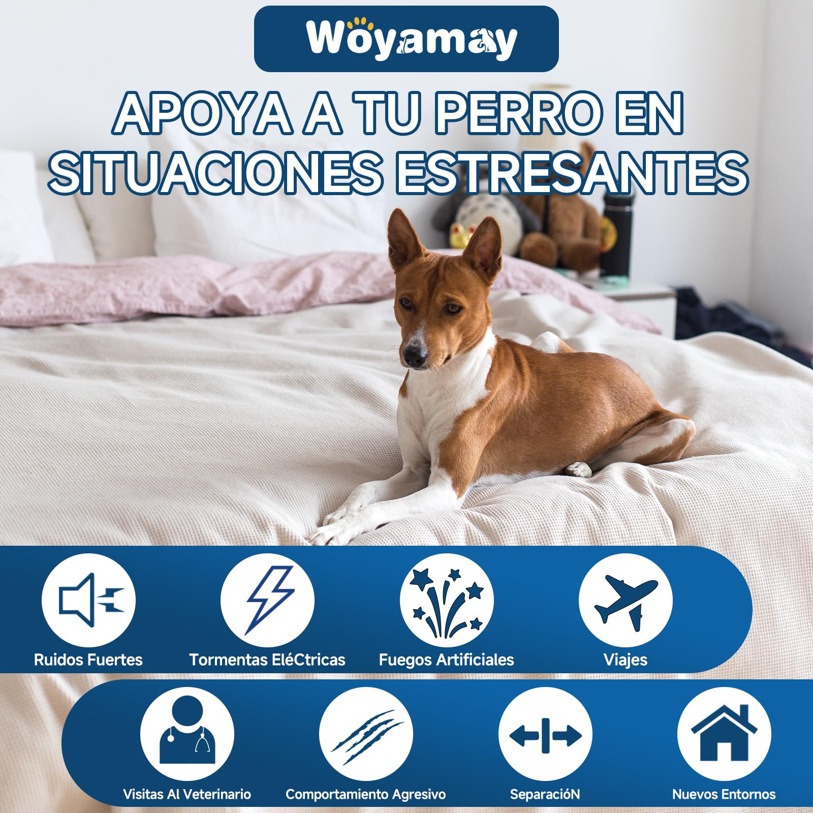 Golosinas Calmantes para Perros, 200 Naturales, Golosinas Tranquilizante para Perros para Apoyar la Calma, Ideales para Situacione de separación, Ladridos, Fuegos Artificiales y Tormentas, Sabor Pollo