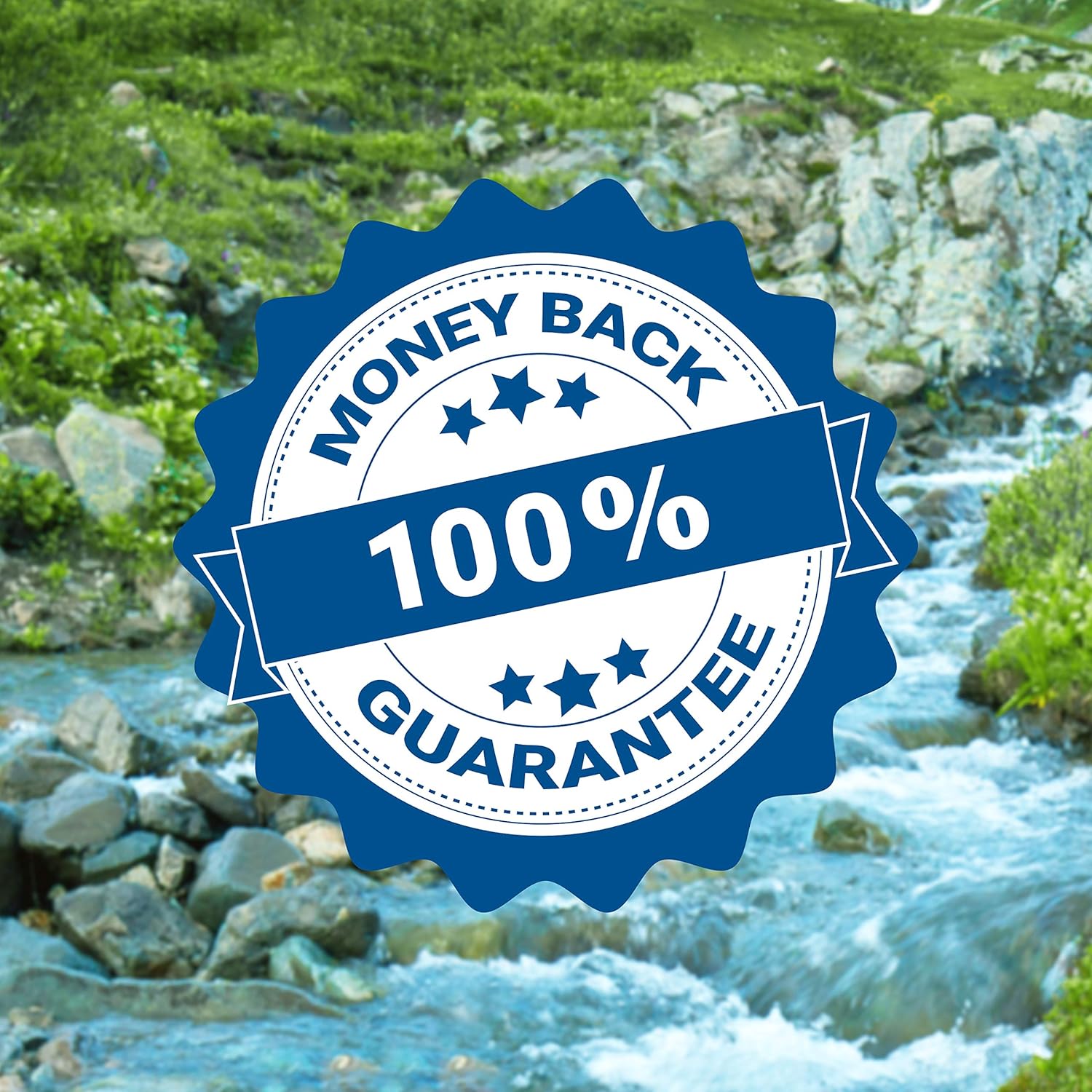 HERBAMAMA Asian Ginseng Herbal Extract Tincture - Organic Liquid Daily Supplement Supporting Energy, Cognitive Function, Mood, Immunity - Non-GMO, Vegan & Soy-Free Drops for Adults - 4 fl. Oz Bottle : Health & Household