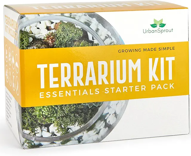 Complete DIY Terrarium Kit with Soil, Moss, Charcoal & Tools for Succulents