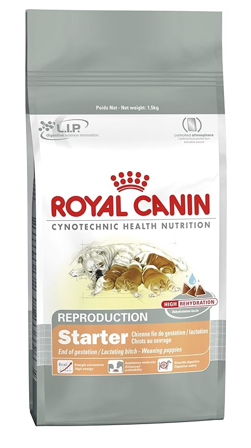 bacopa amplexicaulis aquarium