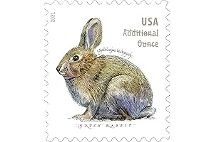 Forever Postage Stamps Coil of 100 US Postal First Class Wedding Celebration Anniversary Party