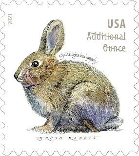 Brush Rabbit Additional Ounce Forever Postage Stamps Coil of 100 US Postal First Class Wedding Celebration Anniversary Party (100 Stamps) Use Three of These Stamps for one Ounce Letters.