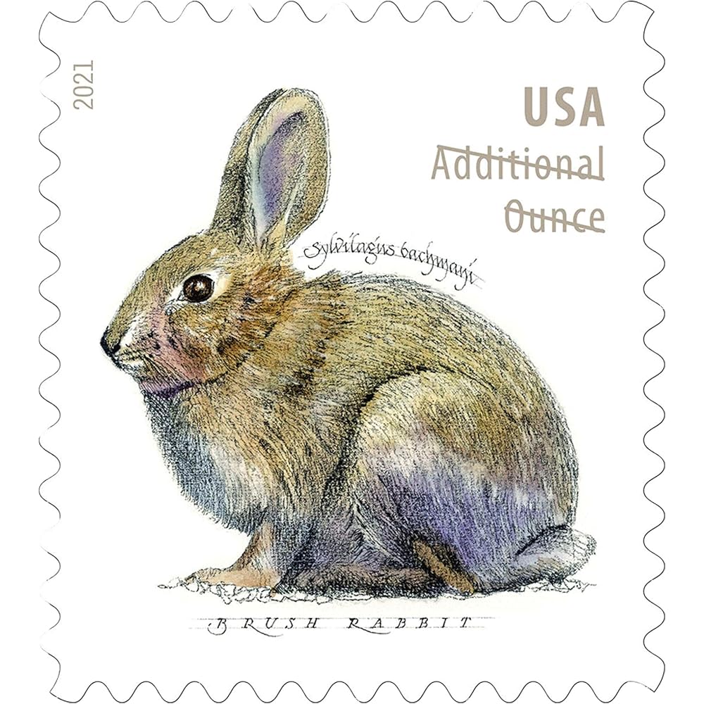 10/mo Finance Brush Rabbit Additional Ounce Forever Postage Stamps