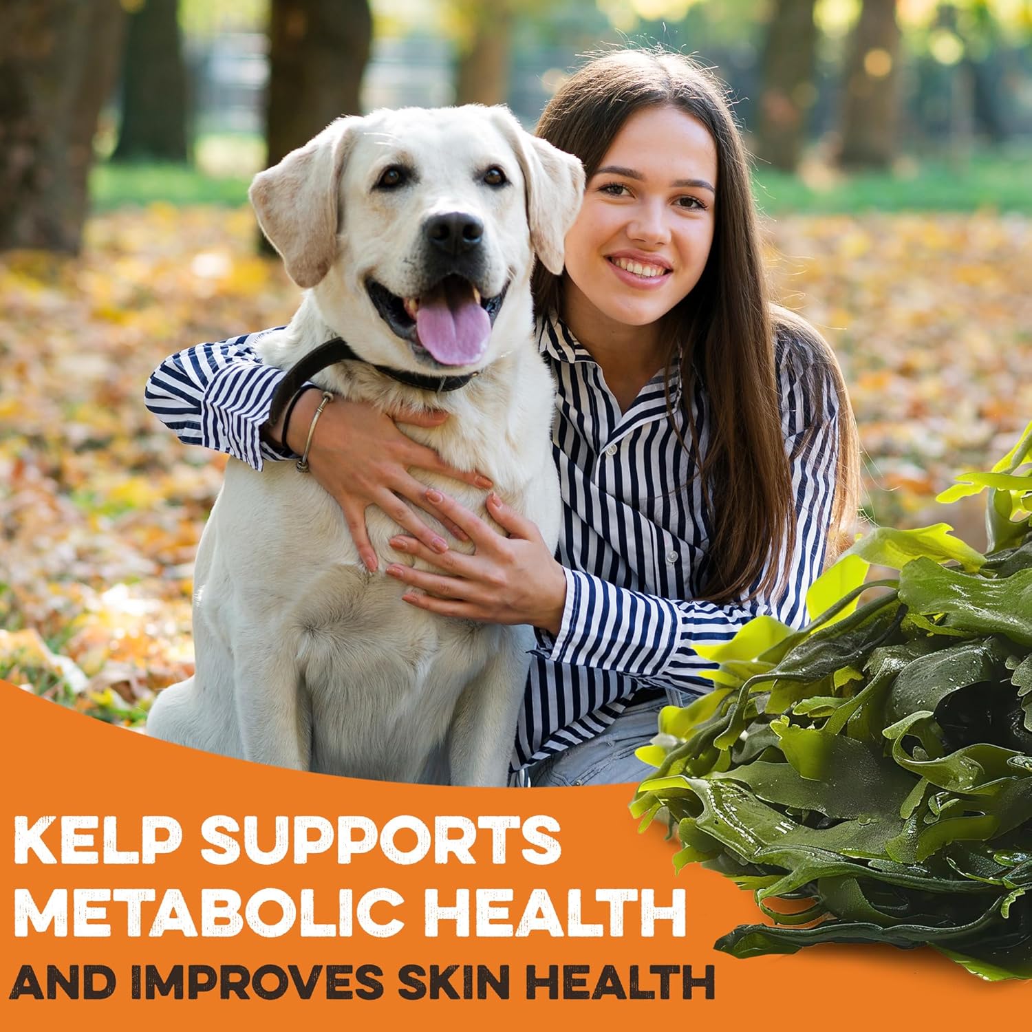 Sweet Potato Dog Treats - Grain Free, Salmon & Kelp Crunchy Sticks - Great Tasting, Promotes Positive Dog Gut Health with Natural Anti-Diarrhea Properties, No Preservatives Added (2lb Bag)