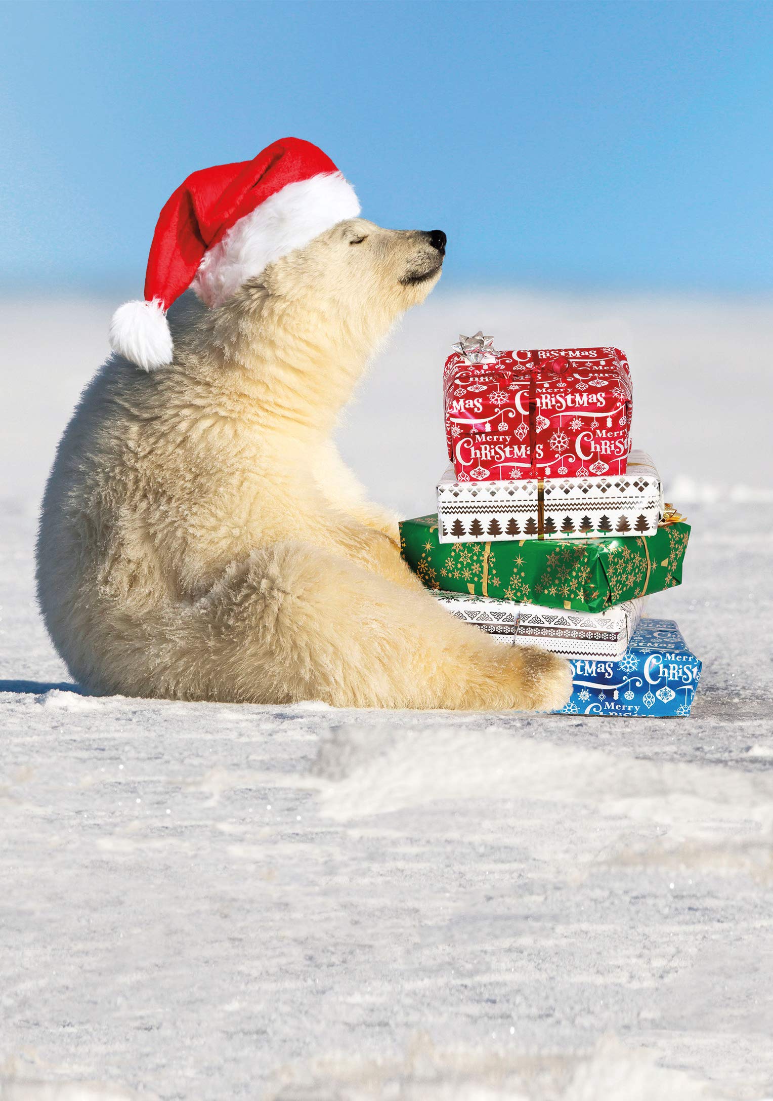 RSVP Christmas Greeting Cards Pack with Envelopes: Polar Bear's Presents - 12 Pack, 5" x 7"