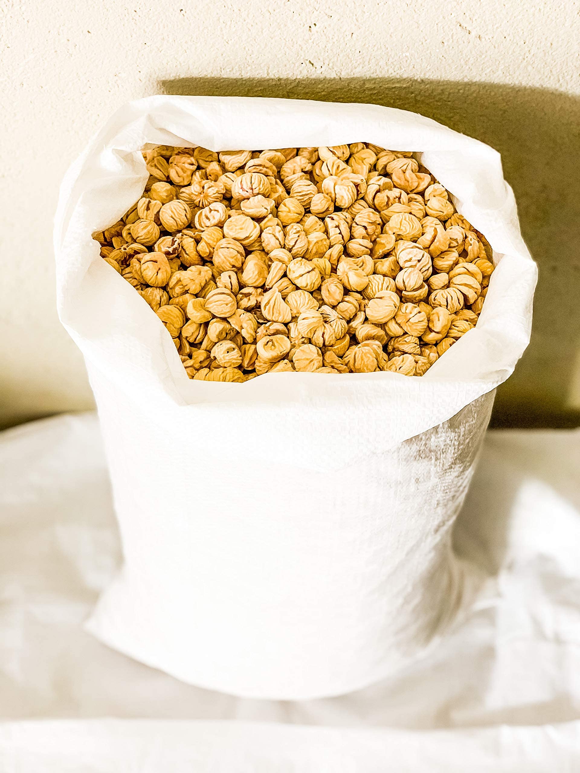 Castañas secas 5 Kg (1 paquete de 5 kg de garessines italianas)