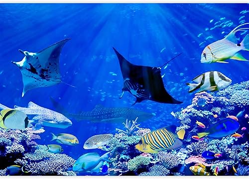 Miniatura 7 de wall26 Adhesivo mural removible para pared, paisaje escénico de Colorado, montaña, lago, bosque, naturaleza, desierto, fotografía, realismo, paisaje