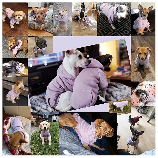Foto 5 de 6 de Jecikelon Sudaderas Suaves con Capucha para Perros pequeños, Sudadera de